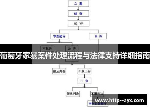 葡萄牙家暴案件处理流程与法律支持详细指南